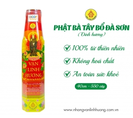 Nhang Vạn Linh Hương Phật Bà Tây Bổ Đà Sơn lục giác trung 4 tấc