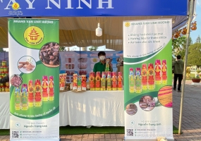 HỘI CHỢ GIỚI THIỆU QUẢNG BÁ CÁC SẢN PHẨM OCOP VÀ ĐẶC SẢN THỊ XÃ HOÀ THÀNH TỈNH TÂY NINH 2022